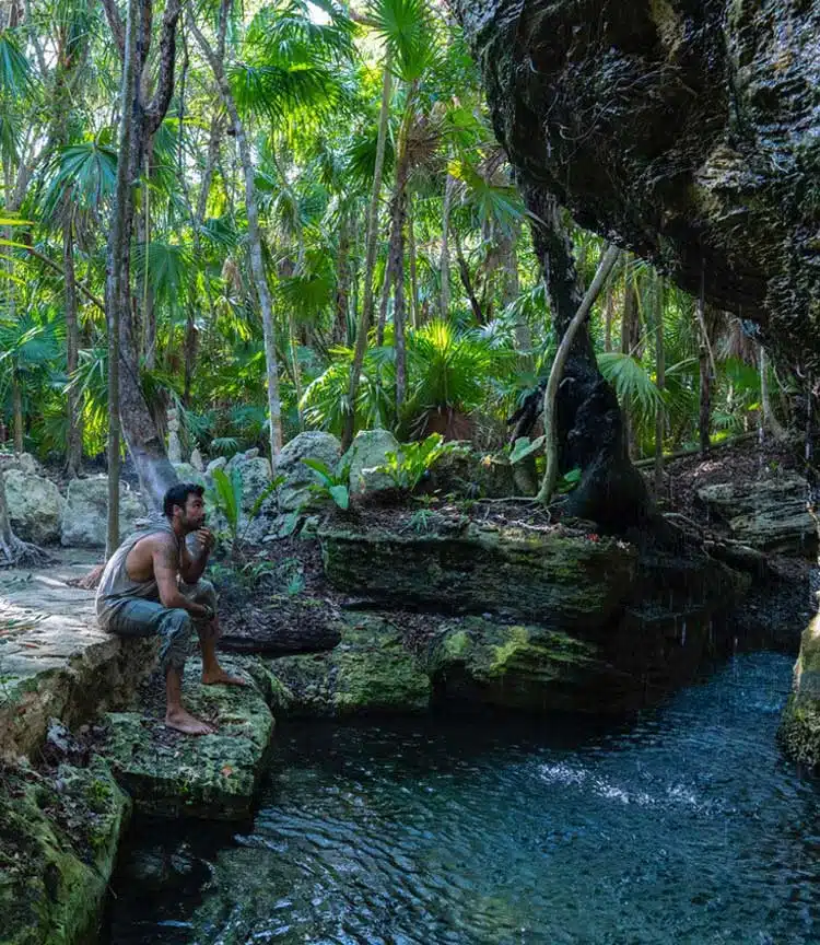Cenote Moments