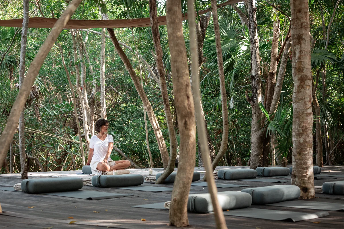 "Outdoor yoga space in the forest.